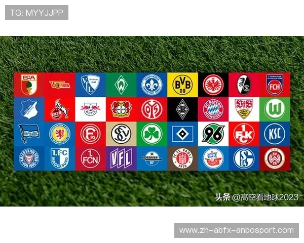 被称为“土豪”的德甲球队盘点及支出概况